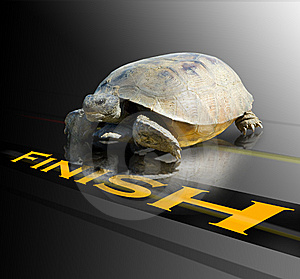 You are the winning turtle with asset allocation, compared to all other investment strategies!